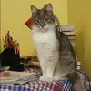 Отзыв от Альфия Глебова